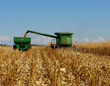 Iowa leads the nation in the productio of corn.